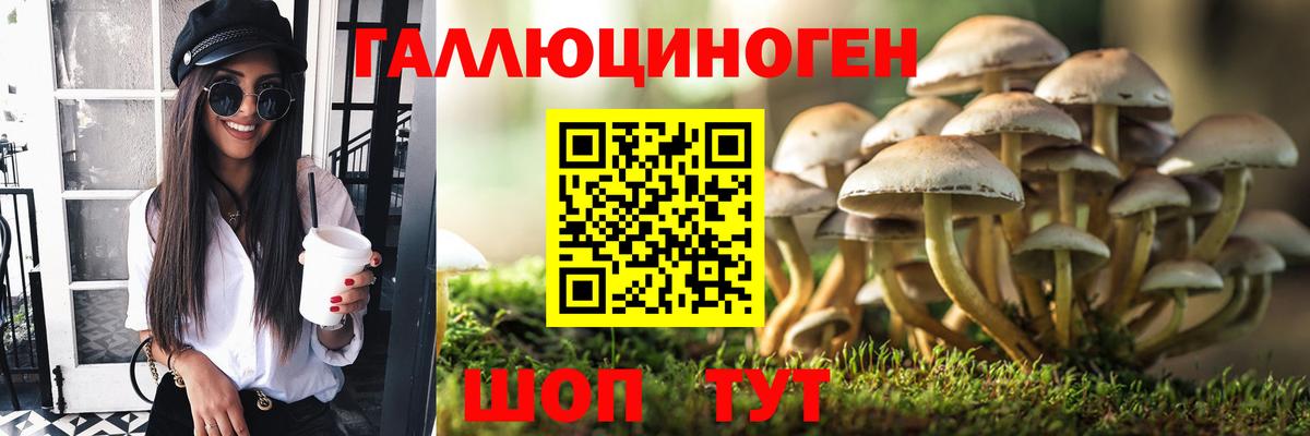 Галлюциногенные грибы Cubensis Чапаевск