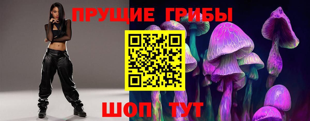 Чапаевск  Псилоцибиновые грибы прущие грибы  Вход с VPN  Псилоцибиновые грибы MAGIC MUSHROOMS 